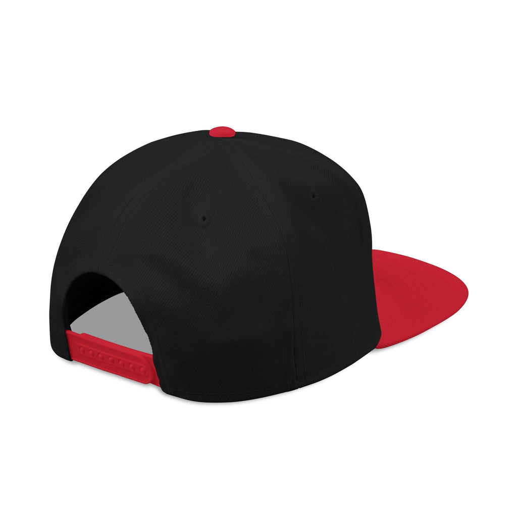 Release The Epstein Files Embroidered Snapback - Subtle Anti Trump Protest Hat