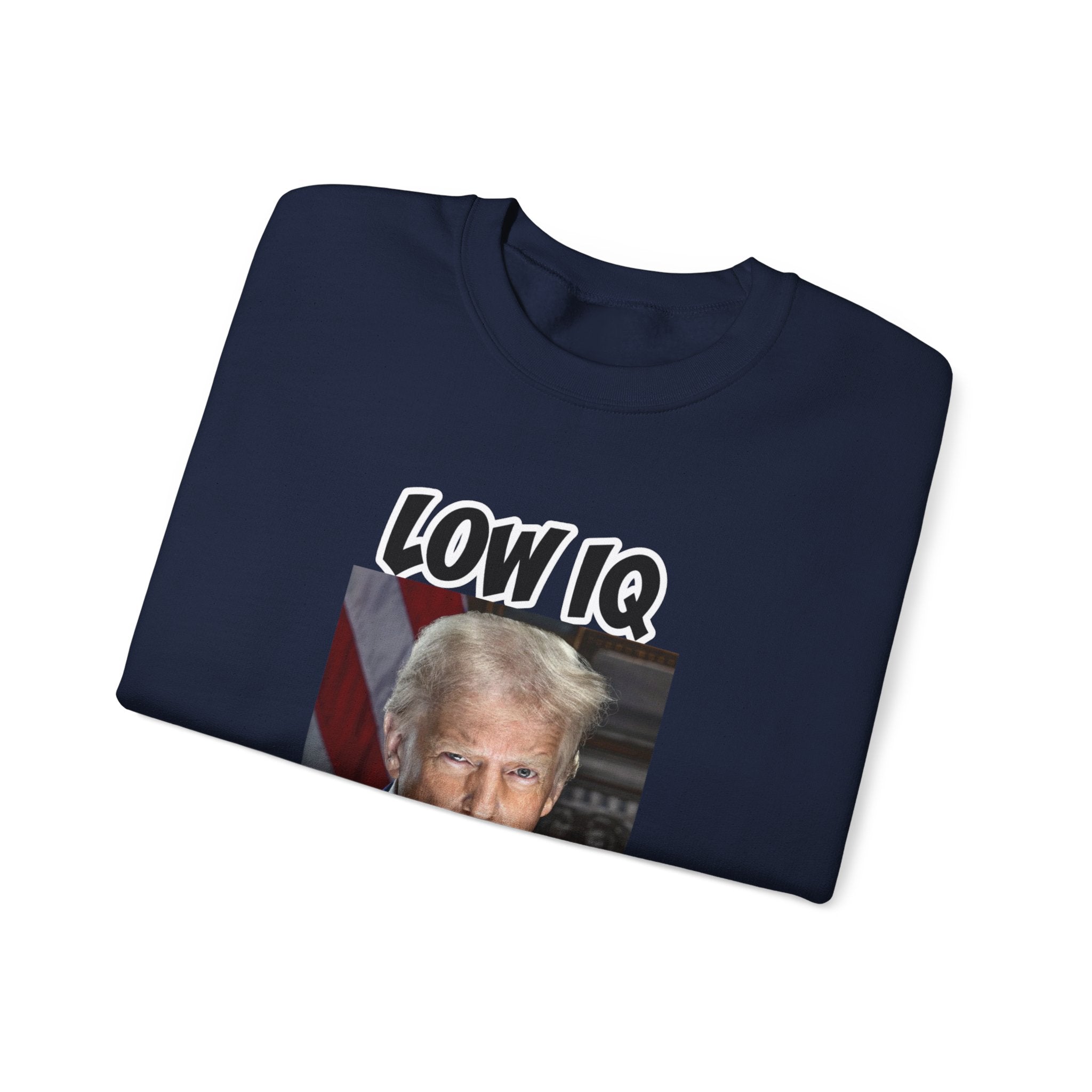 Anti Trump Sweater - Low IQ Individual - Political Satire - Feminist Sweater - Democrat Gift - Anti Republican