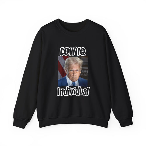 Anti Trump Sweater - Low IQ Individual - Political Satire - Feminist Sweater - Democrat Gift - Anti Republican