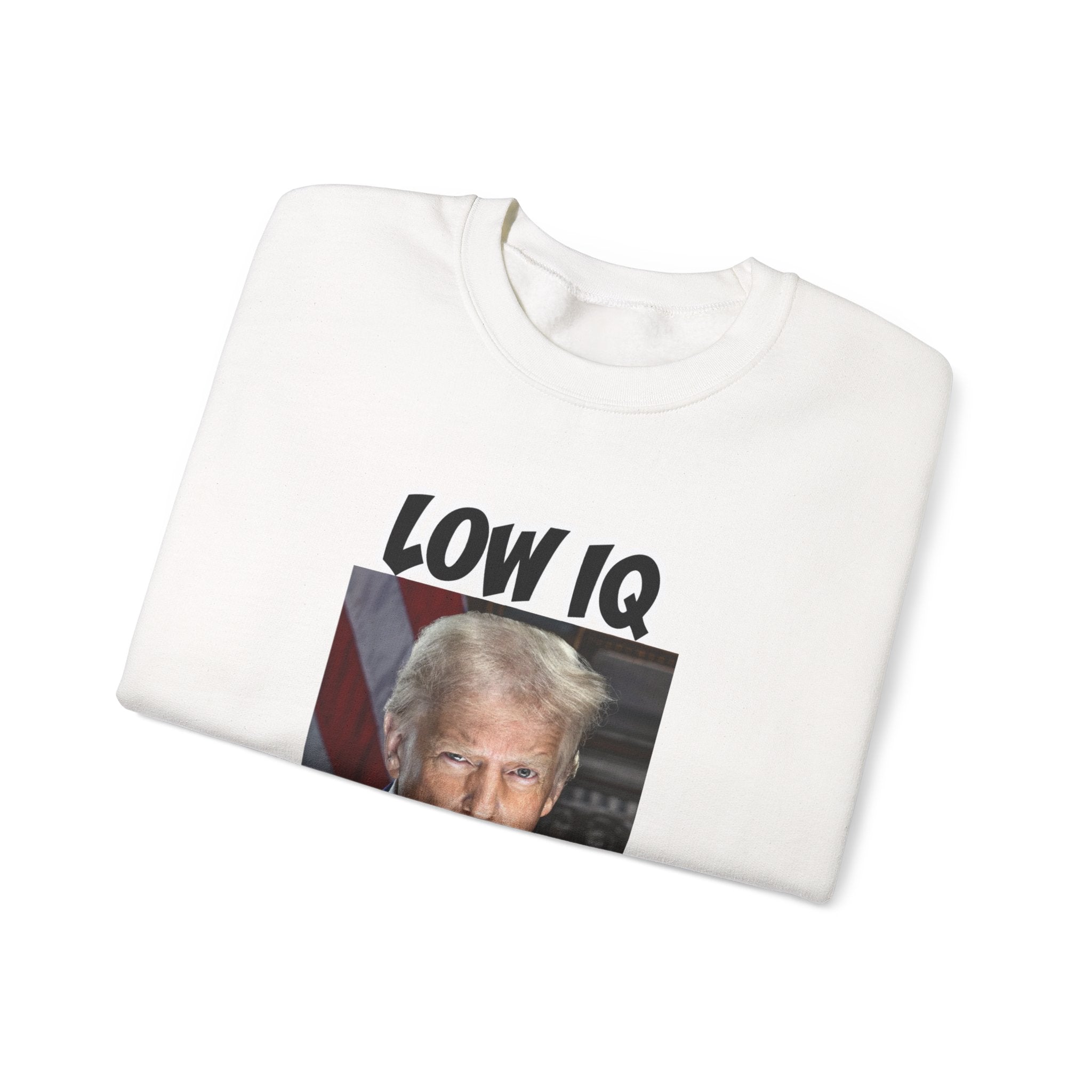 Anti Trump Sweater - Low IQ Individual - Political Satire - Feminist Sweater - Democrat Gift - Anti Republican
