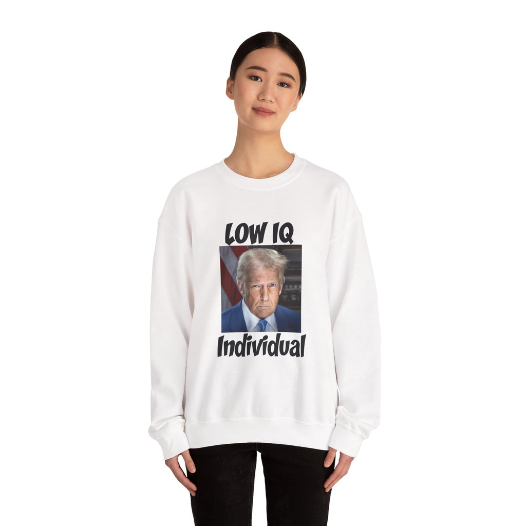 Anti Trump Sweater - Low IQ Individual - Political Satire - Feminist Sweater - Democrat Gift - Anti Republican