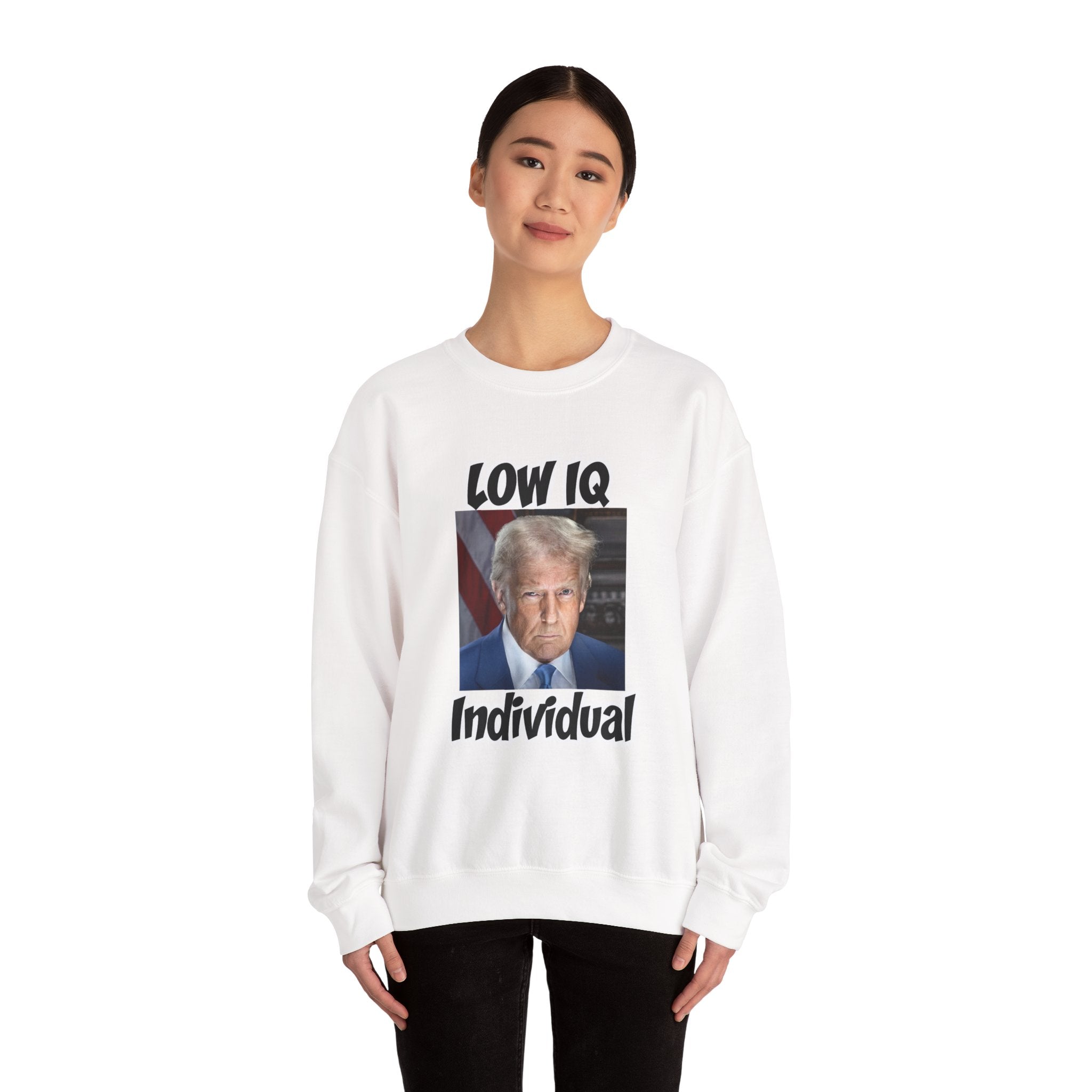 Anti Trump Sweater - Low IQ Individual - Political Satire - Feminist Sweater - Democrat Gift - Anti Republican