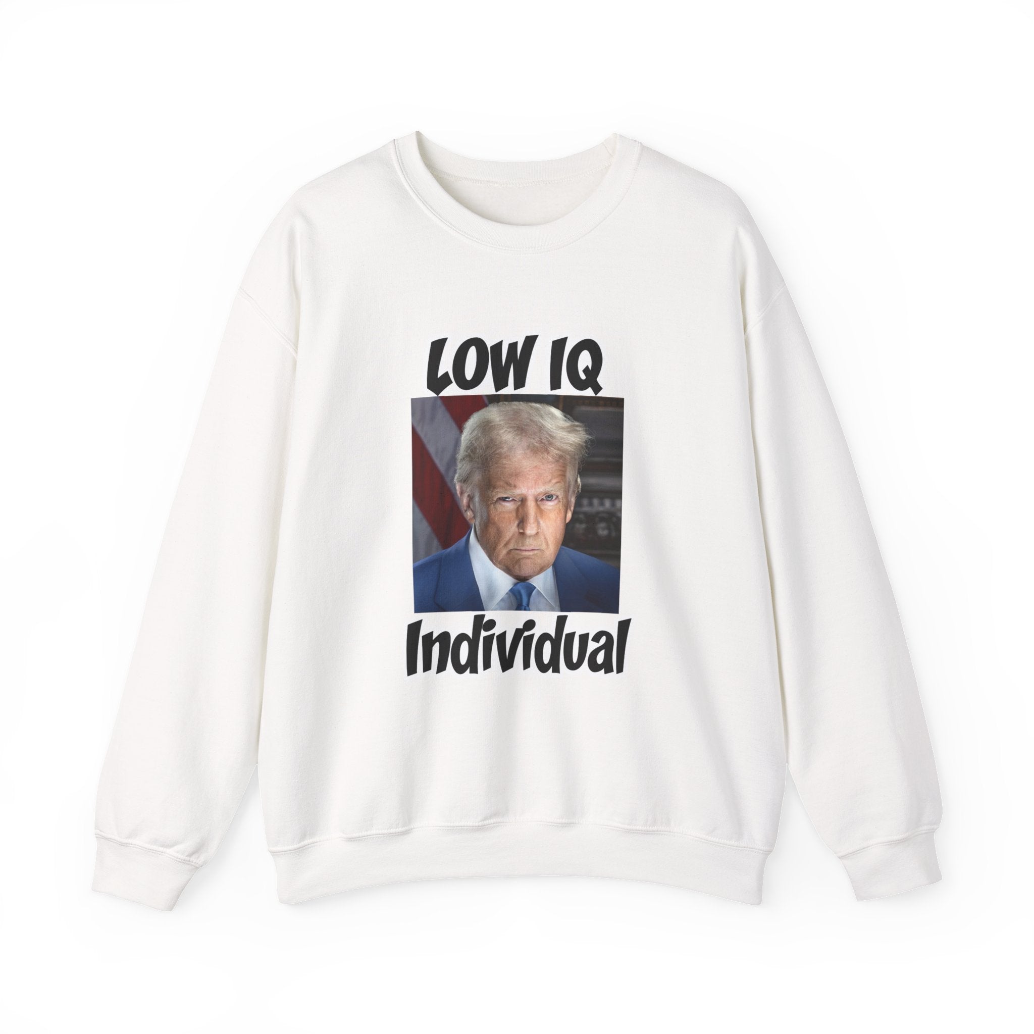 Anti Trump Sweater - Low IQ Individual - Political Satire - Feminist Sweater - Democrat Gift - Anti Republican