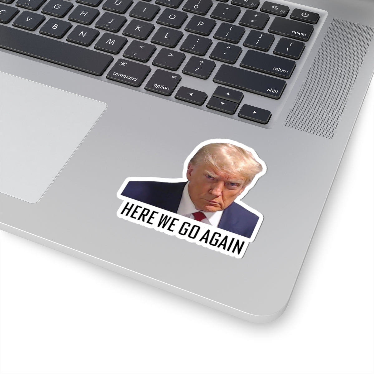 Anti Trump Sticker - Here We Go Again - Political Satire Decal  - Trump Mugshot - Anti Fascism - Anti Authoritarian - Protest Sticker
