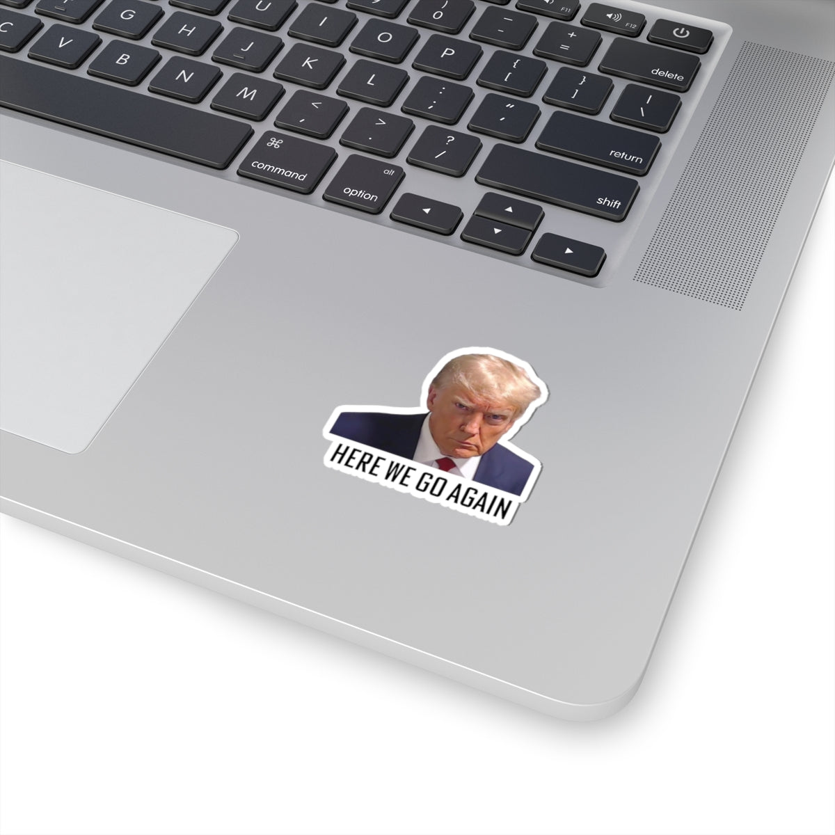 Anti Trump Sticker - Here We Go Again - Political Satire Decal  - Trump Mugshot - Anti Fascism - Anti Authoritarian - Protest Sticker