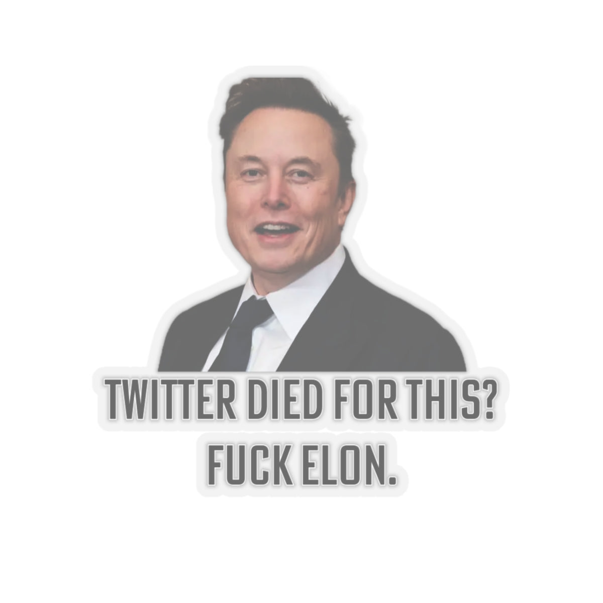 Fuck Elon Musk Sticker - Twitter Died For This? - Anti Trump Anti MAGA Merch - Space Karen's - Gifts For Liberals