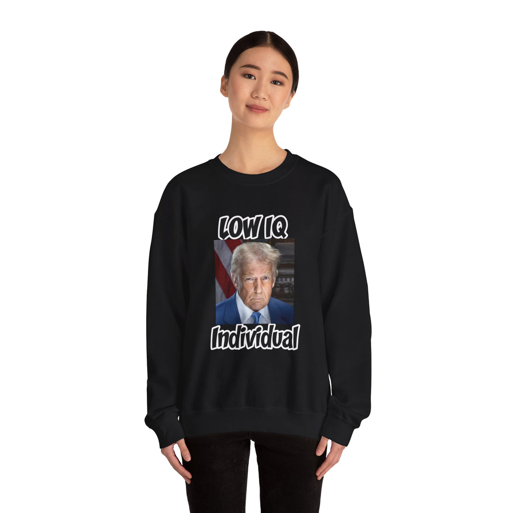 Anti Trump Sweater - Low IQ Individual - Political Satire - Feminist Sweater - Democrat Gift - Anti Republican