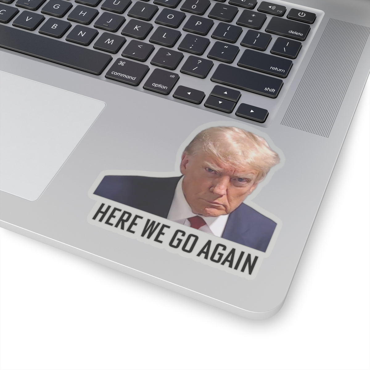 Anti Trump Sticker - Here We Go Again - Political Satire Decal  - Trump Mugshot - Anti Fascism - Anti Authoritarian - Protest Sticker
