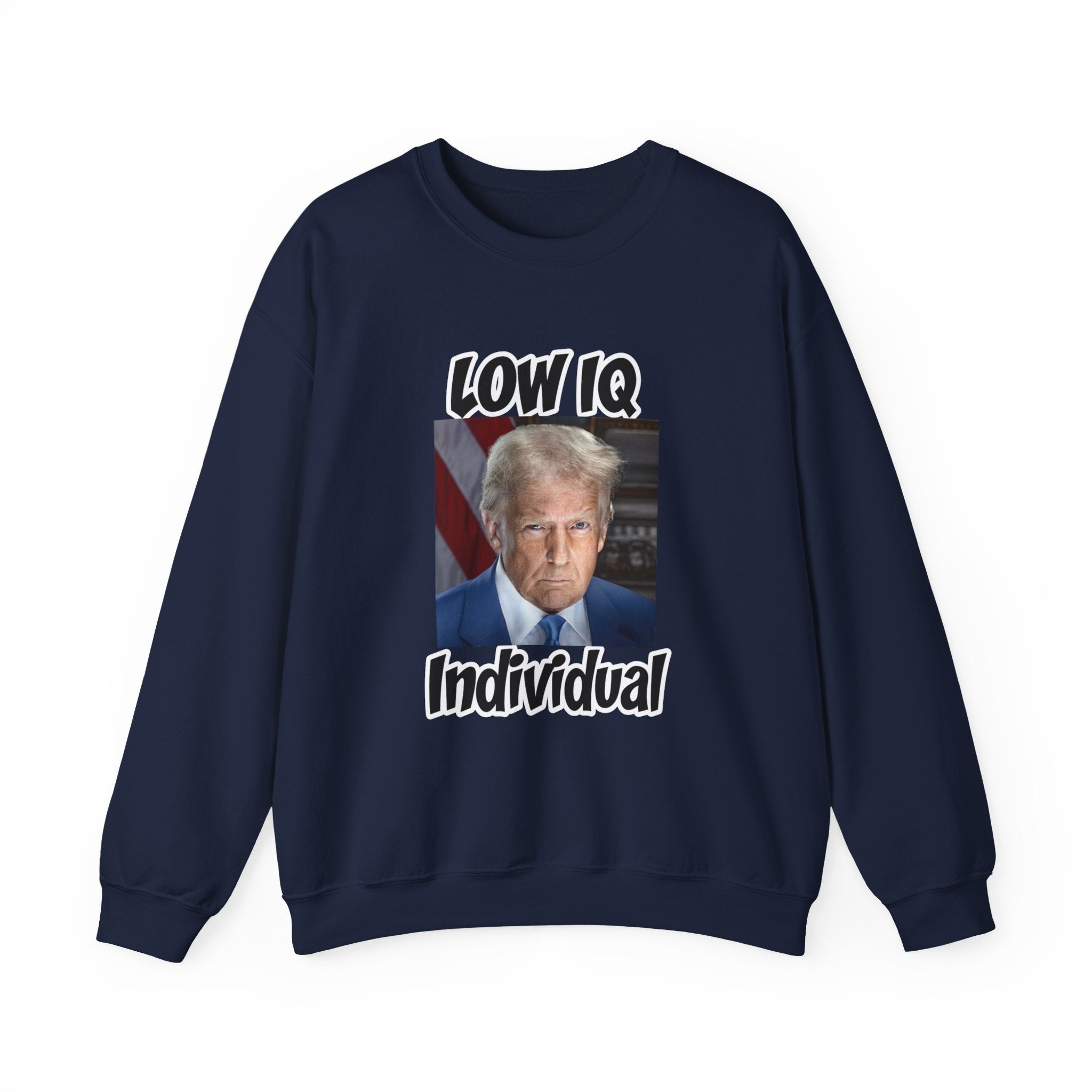 Anti Trump Sweater - Low IQ Individual - Political Satire - Feminist Sweater - Democrat Gift - Anti Republican