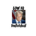 Anti Trump Sticker - Low IQ Individual - Political Satire - Protest Sticker - Anti MAGA Merch - Democrat Gift