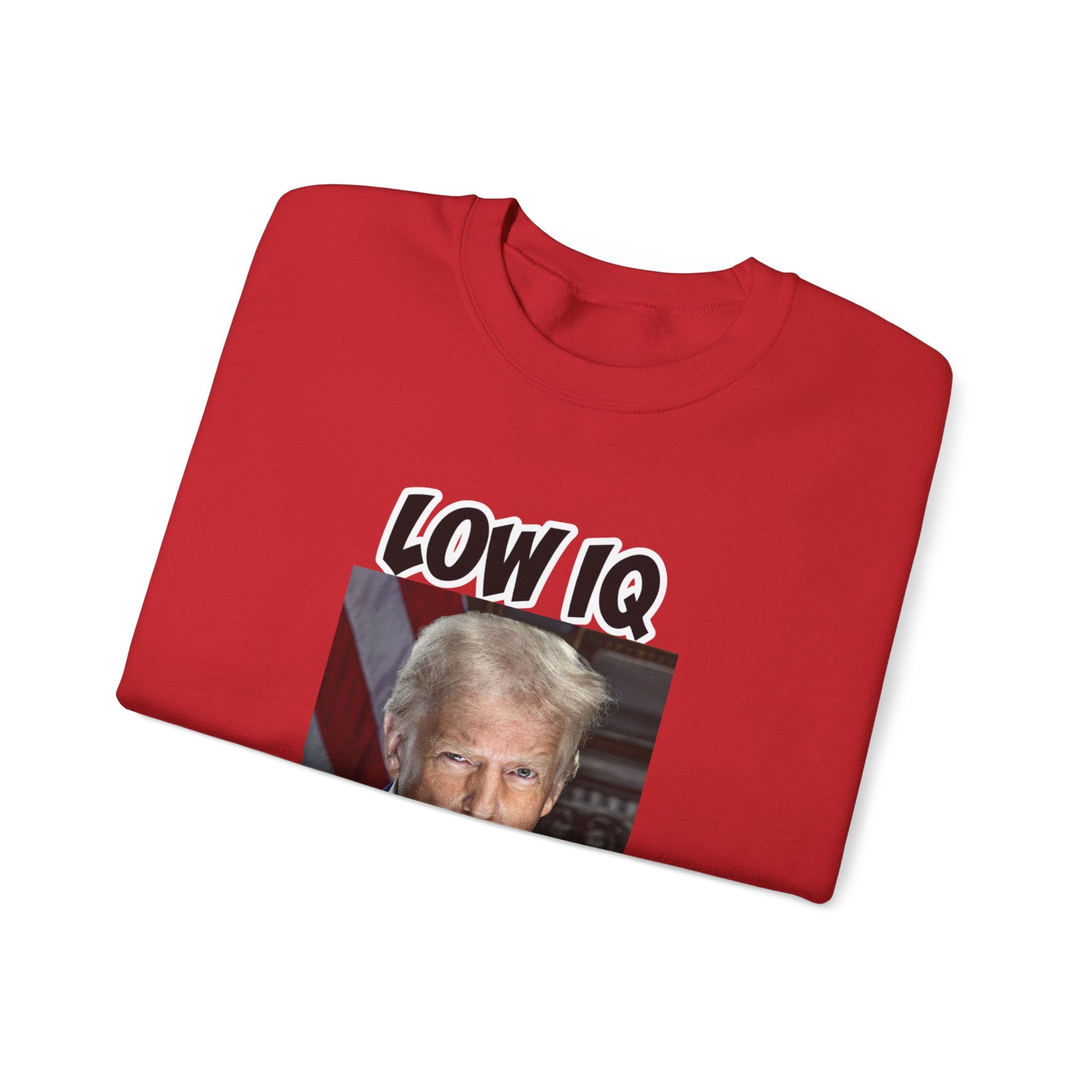 Anti Trump Sweater - Low IQ Individual - Political Satire - Feminist Sweater - Democrat Gift - Anti Republican