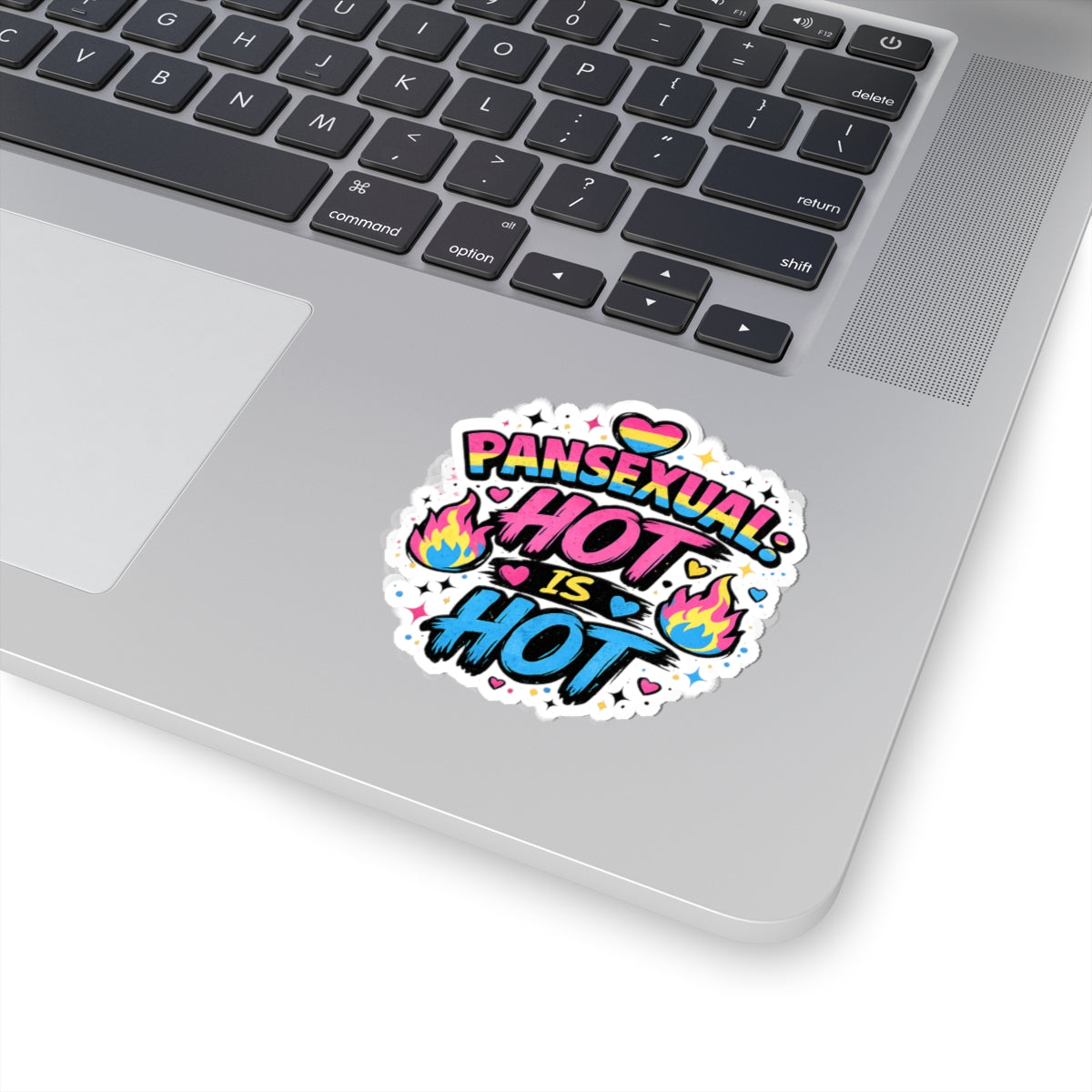 Pansexual Pride Sticker, Because Hot Is Hot Vinyl Decal, Pan Flag Sticker, LGBTQIA+ Queer Pride Gift
