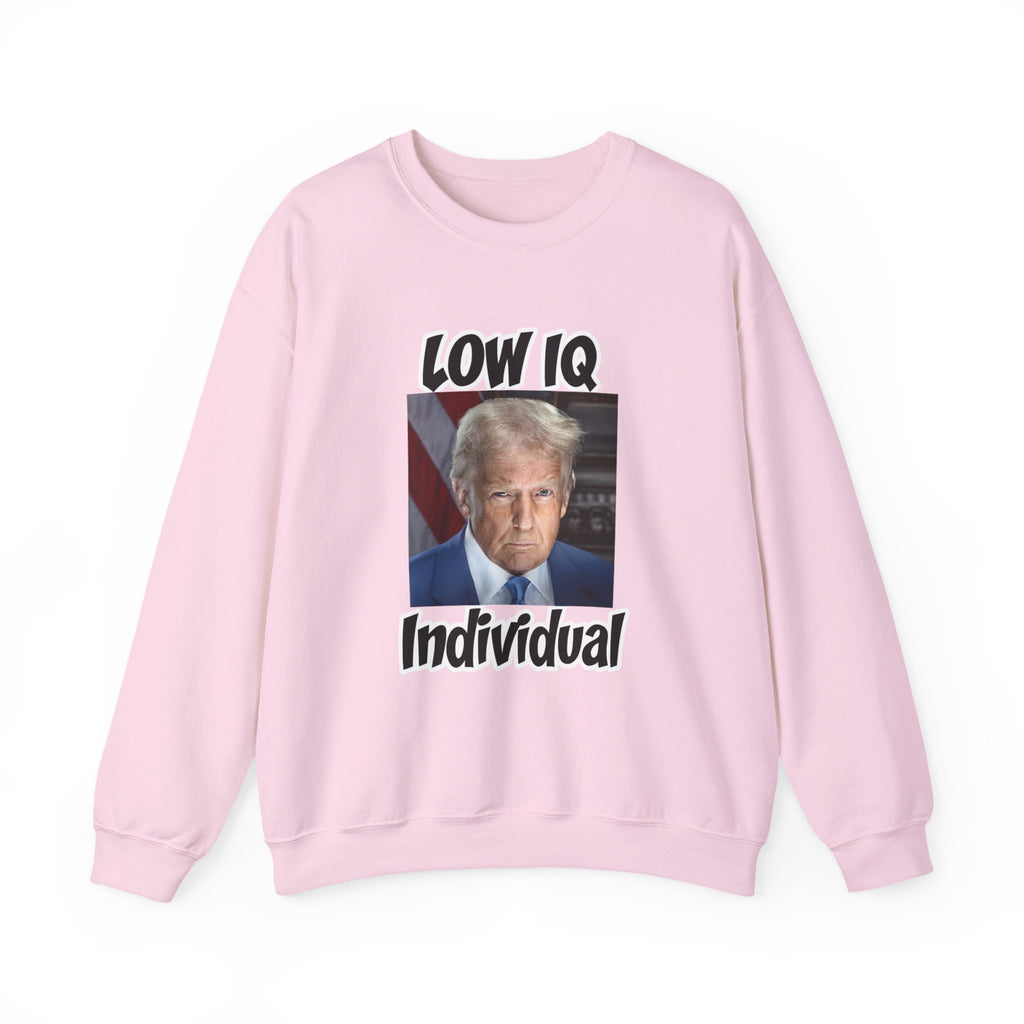 Anti Trump Sweater - Low IQ Individual - Political Satire - Feminist Sweater - Democrat Gift - Anti Republican