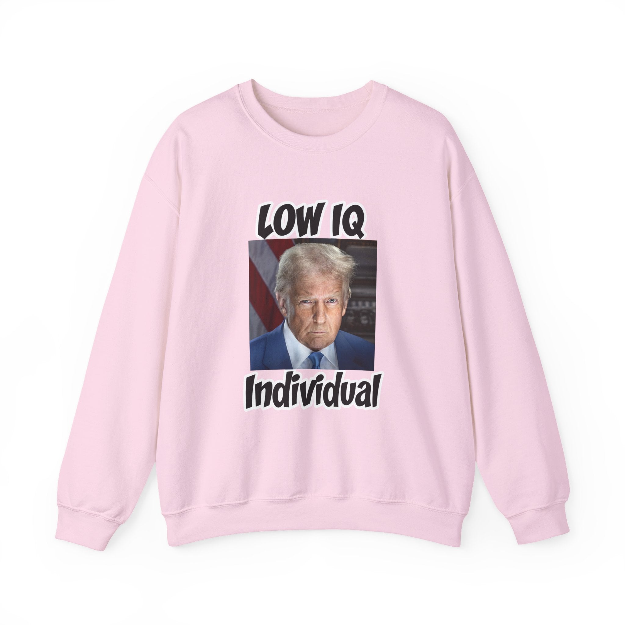 Anti Trump Sweater - Low IQ Individual - Political Satire - Feminist Sweater - Democrat Gift - Anti Republican