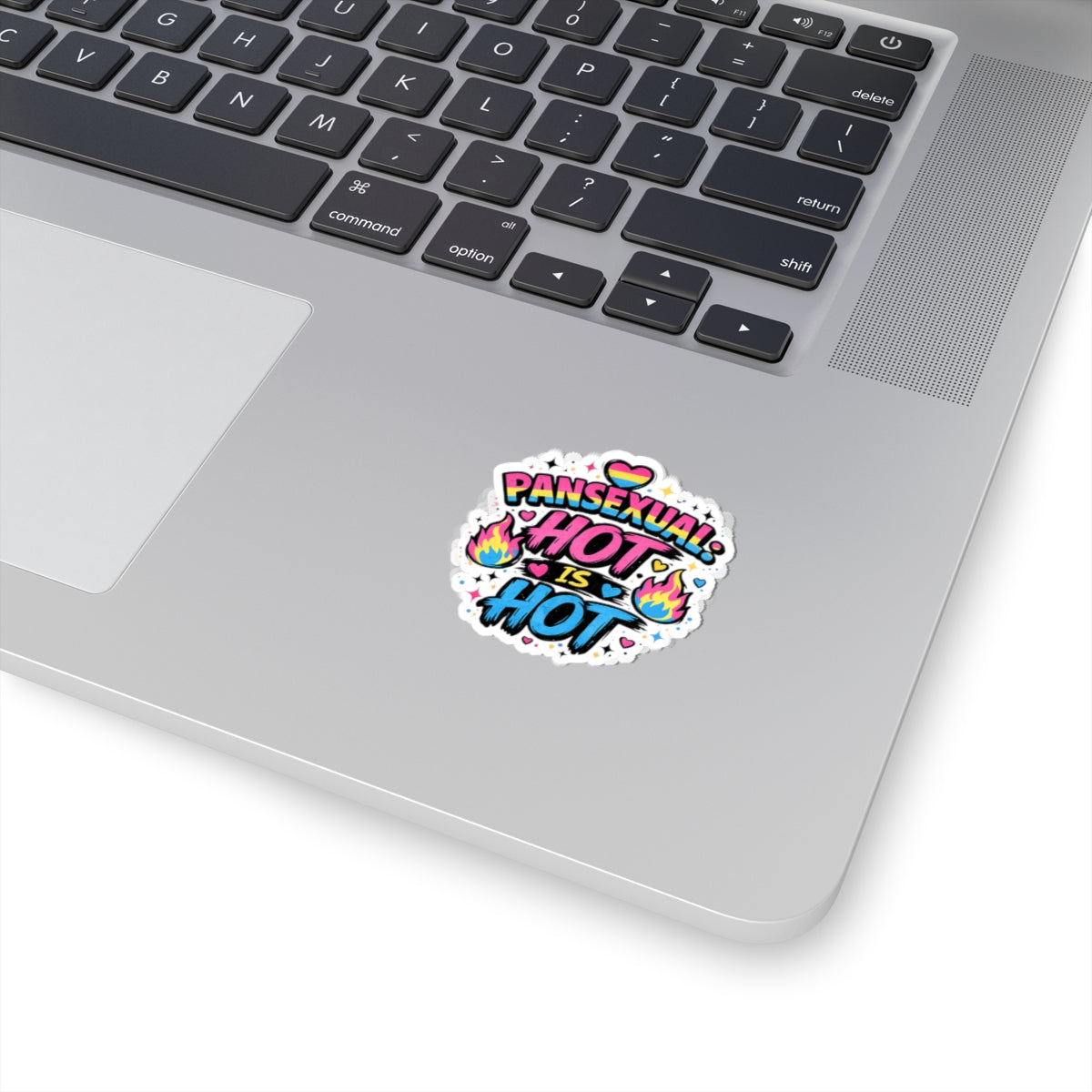Pansexual Pride Sticker, Because Hot Is Hot Vinyl Decal, Pan Flag Sticker, LGBTQIA+ Queer Pride Gift