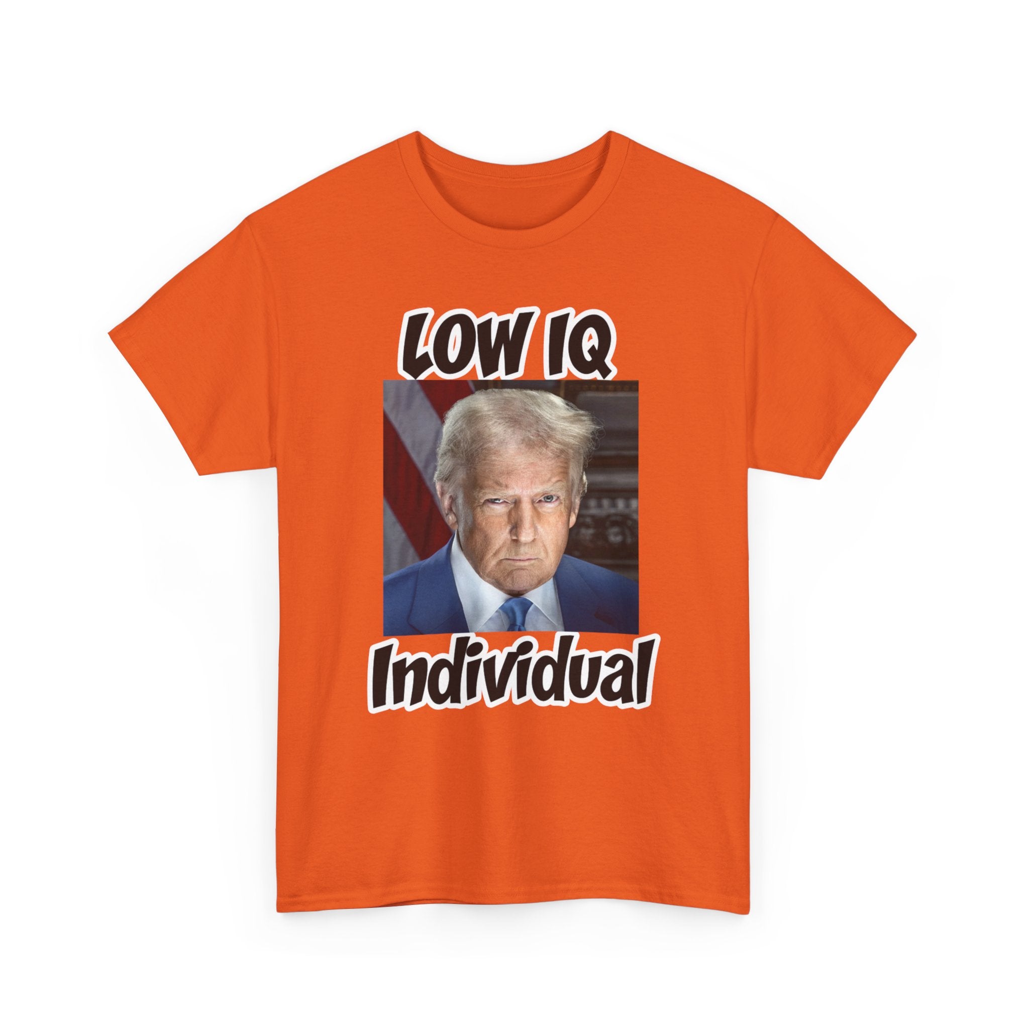 Anti Trump Shirt - Low IQ Individual - Political Satire - Funny Protest Shirt - Anti MAGA - Democrat Gift