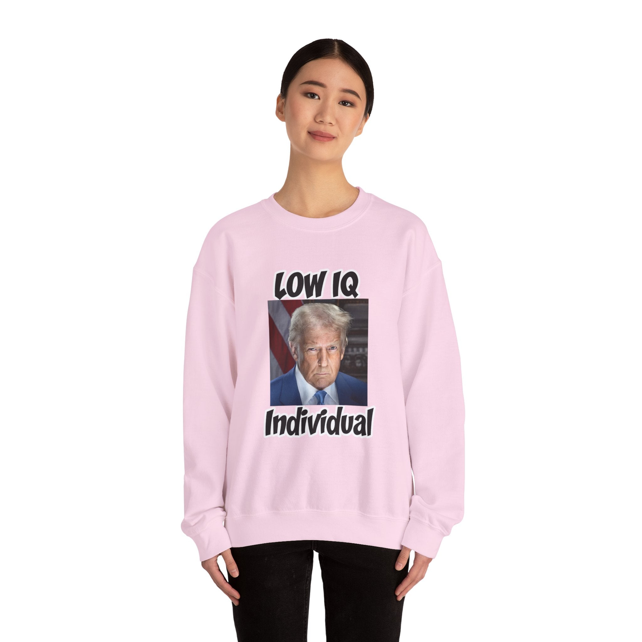 Anti Trump Sweater - Low IQ Individual - Political Satire - Feminist Sweater - Democrat Gift - Anti Republican