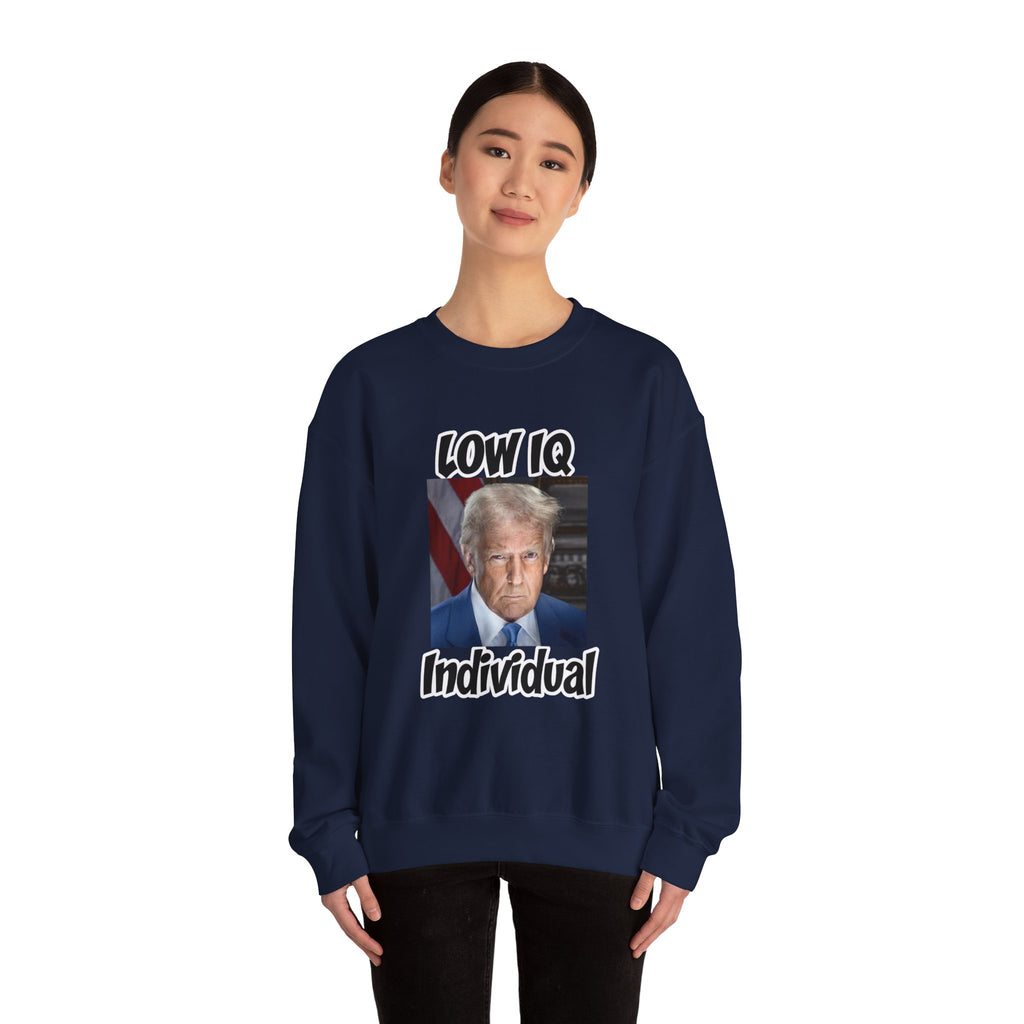Anti Trump Sweater - Low IQ Individual - Political Satire - Feminist Sweater - Democrat Gift - Anti Republican