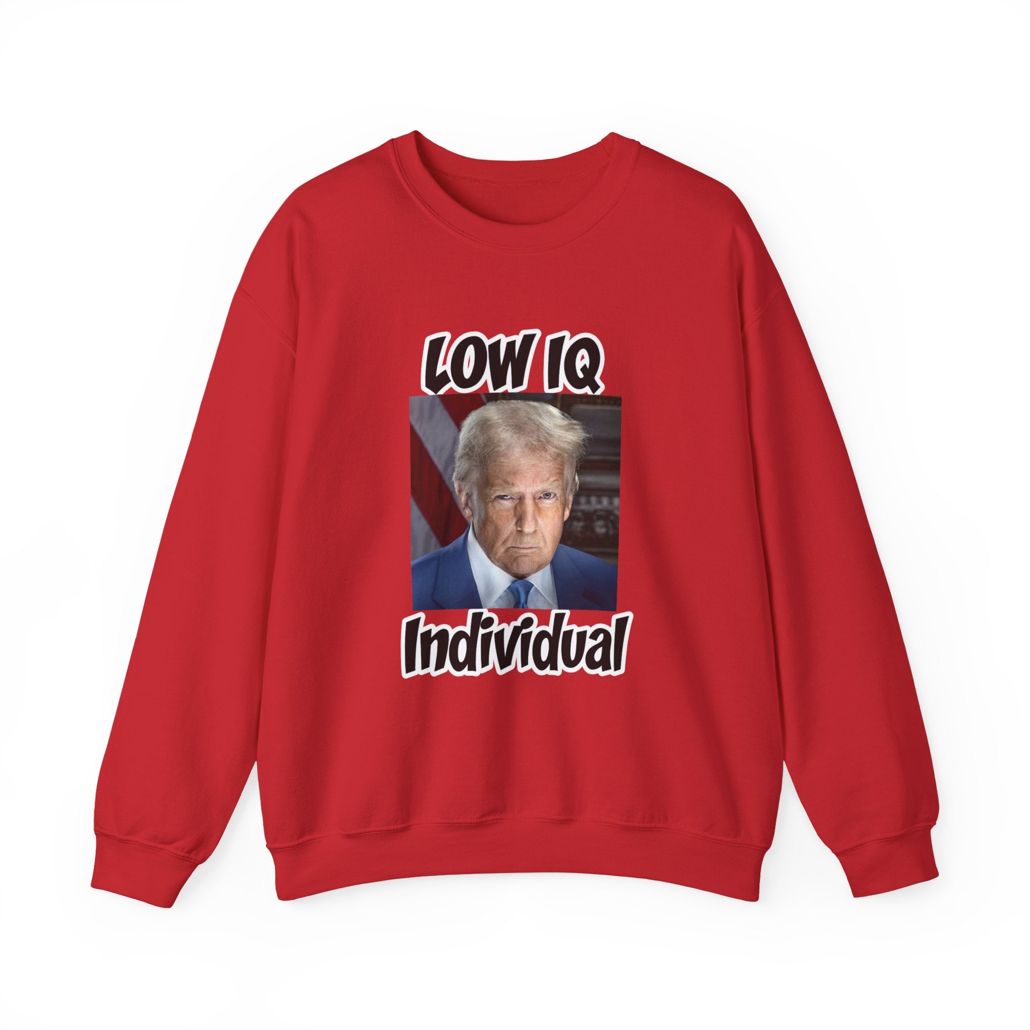 Anti Trump Sweater - Low IQ Individual - Political Satire - Feminist Sweater - Democrat Gift - Anti Republican