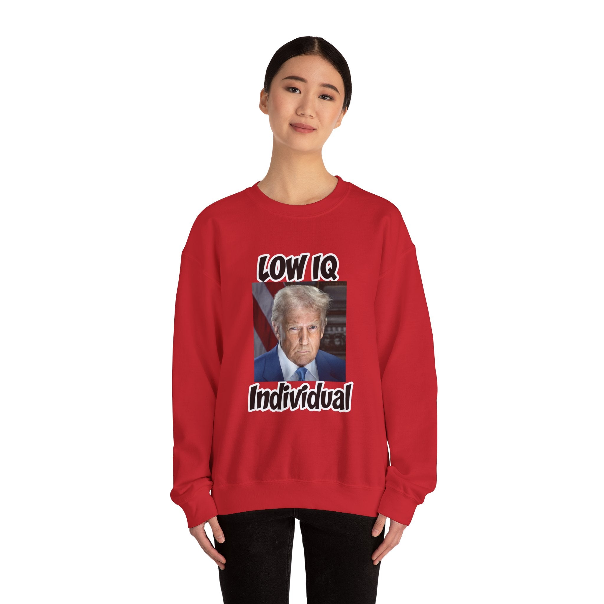 Anti Trump Sweater - Low IQ Individual - Political Satire - Feminist Sweater - Democrat Gift - Anti Republican