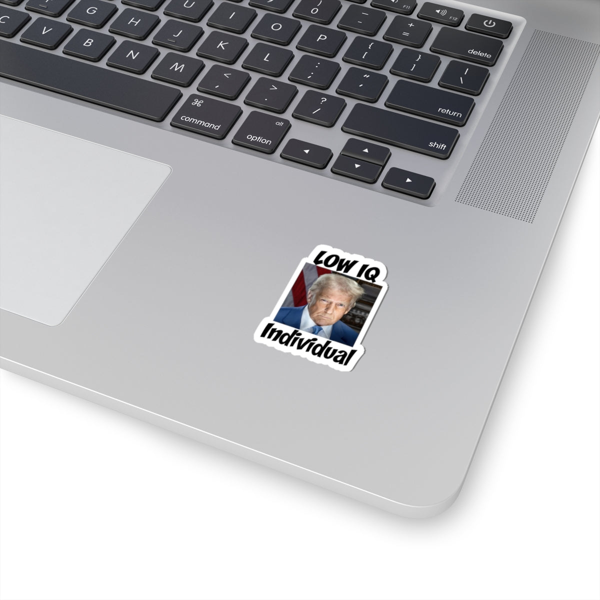 Anti Trump Sticker - Low IQ Individual - Political Satire - Protest Sticker - Anti MAGA Merch - Democrat Gift