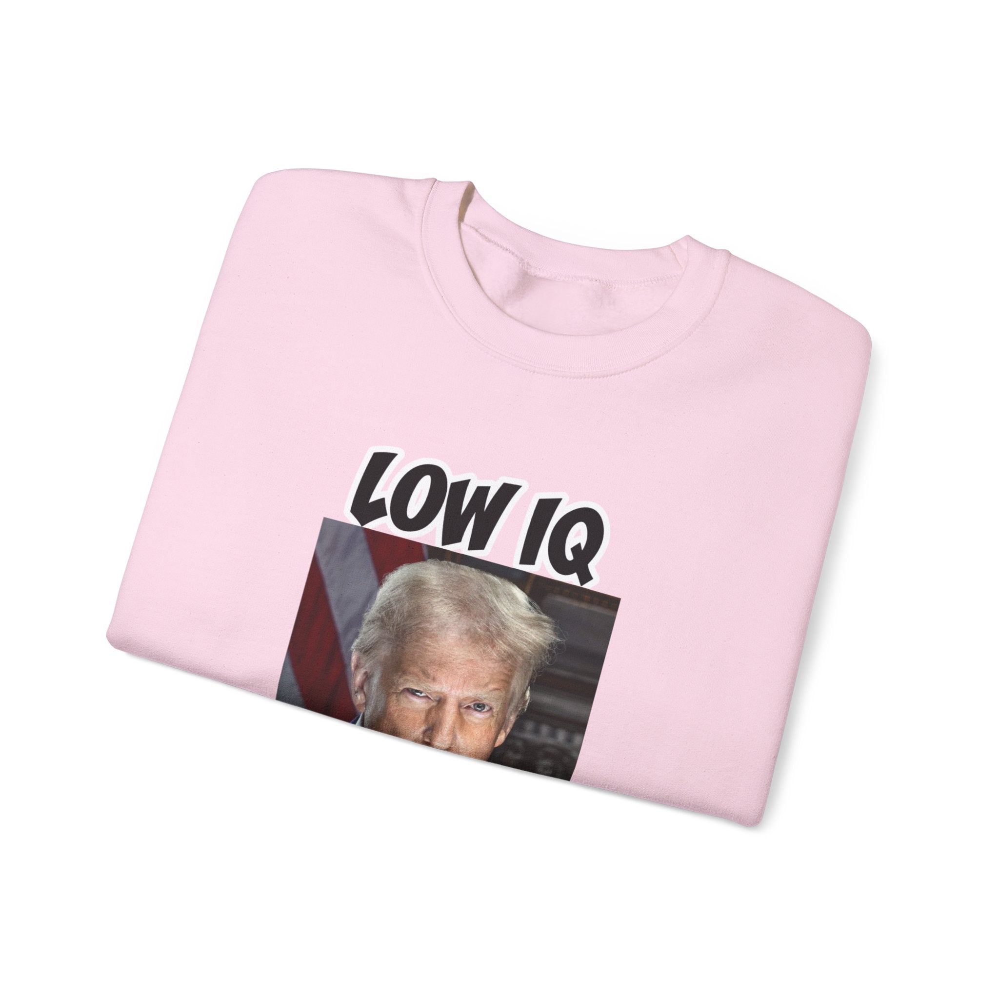 Anti Trump Sweater - Low IQ Individual - Political Satire - Feminist Sweater - Democrat Gift - Anti Republican