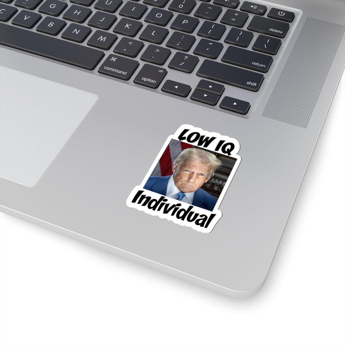 Anti Trump Sticker - Low IQ Individual - Political Satire - Protest Sticker - Anti MAGA Merch - Democrat Gift